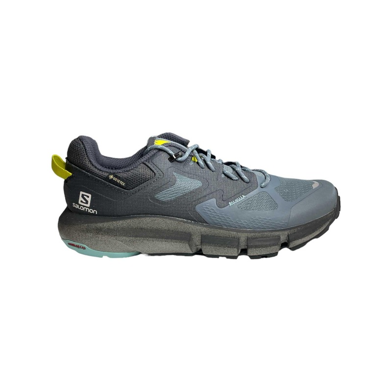 Salomon Women's Predict Hike GTX Shoe