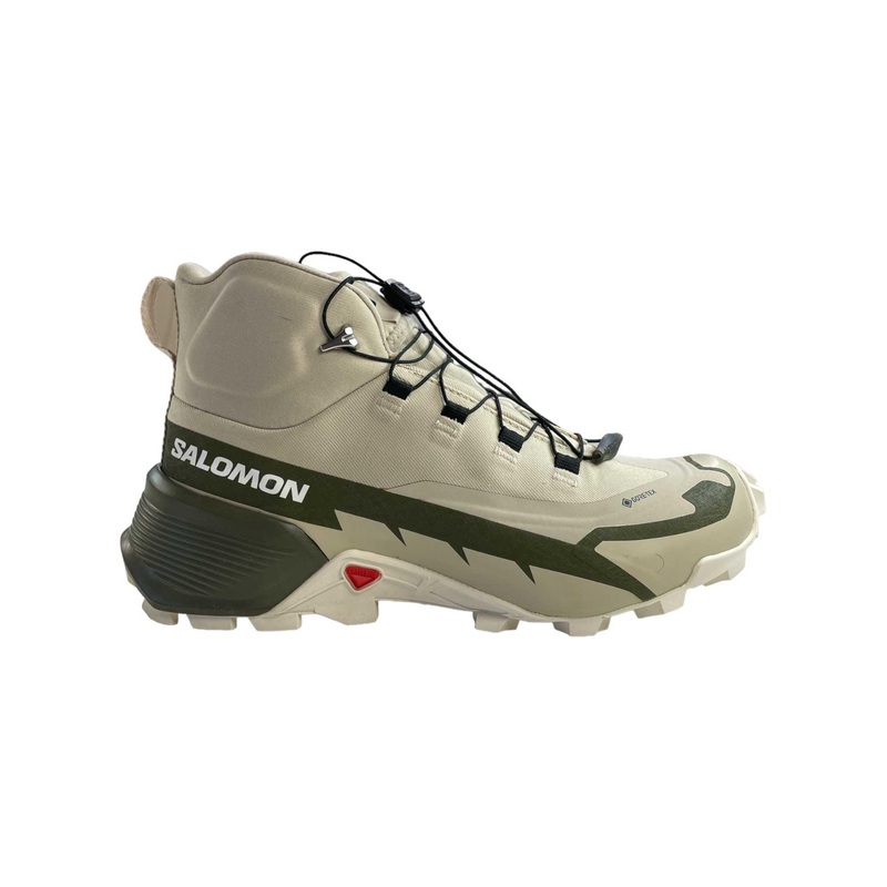 Salomon Women's Predict Hike Mid GTX Shoe