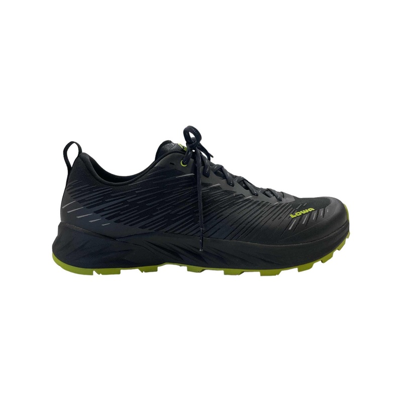 Lowa Men's Amplux Shoe