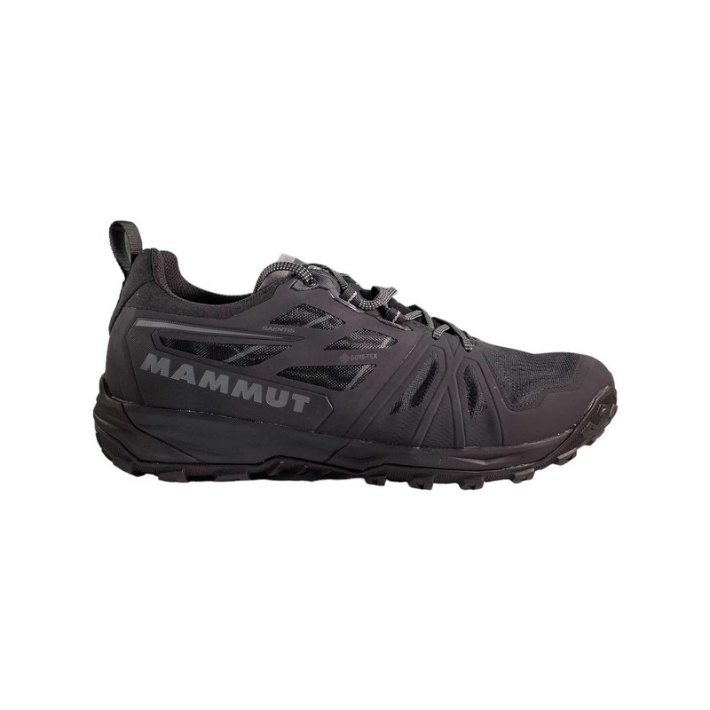 Mammut Mens Saentis Low GTX Shoe