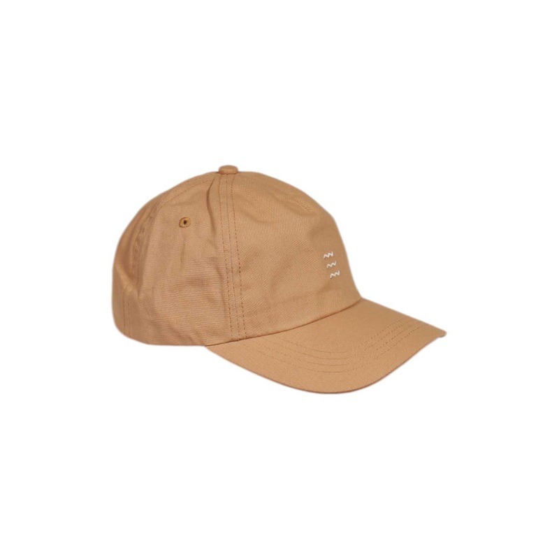 Free Fly Icon Cap