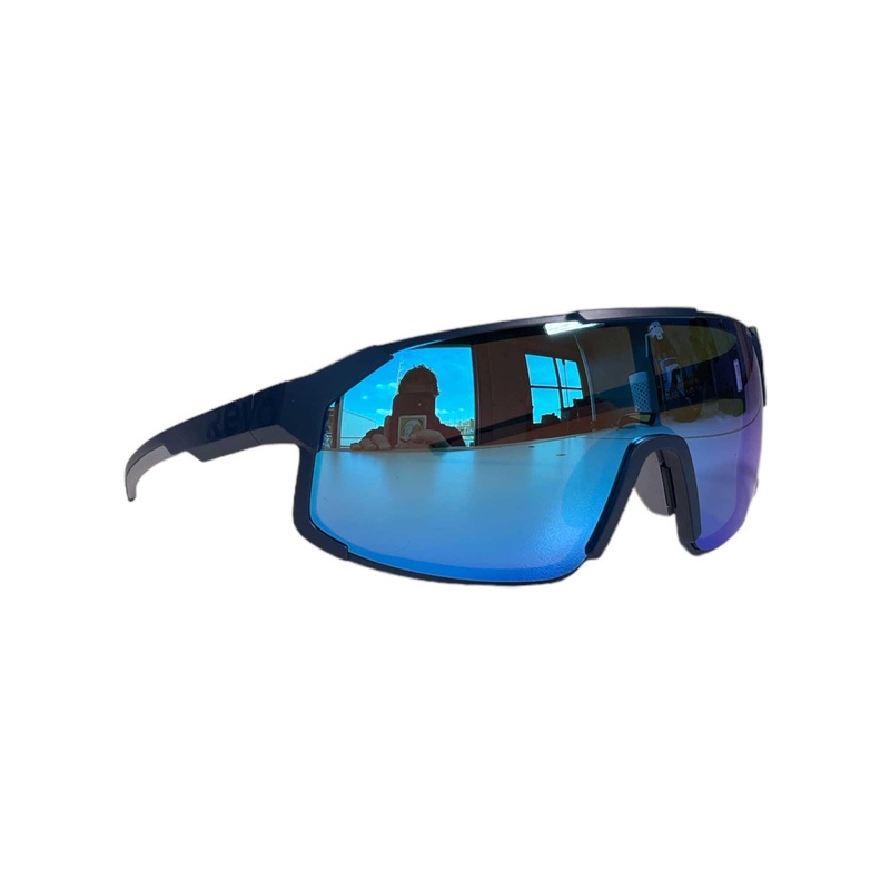 Revo Polar Sunglasses