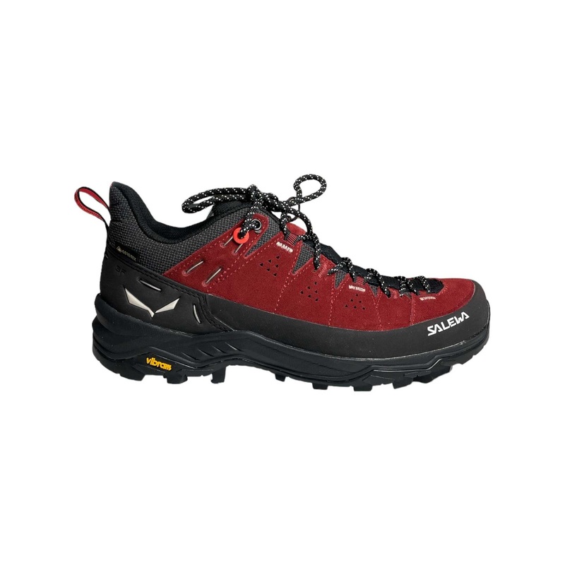 Salewa Women's Alp Trainer 2 GTX Shoe