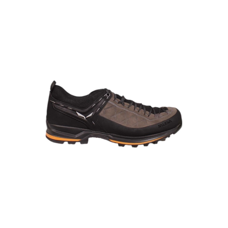 Salewa Mens MTN Trainer 2 Shoe