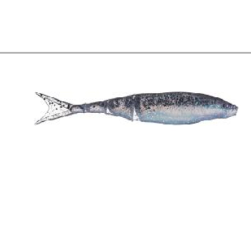 ZMAN RAZOR SHADZ 4.5"(4),BAD SHAD